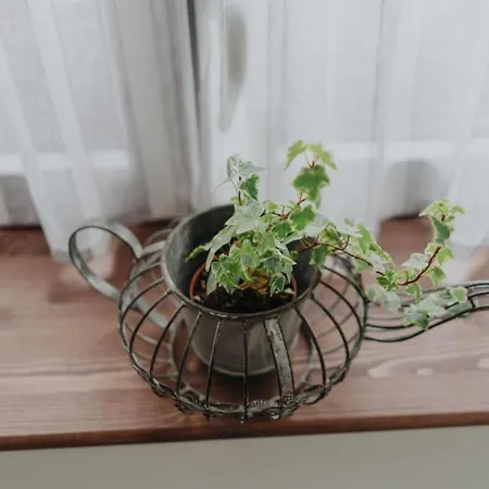 La Medica Séjour à la campagne Sargentes de la Lora