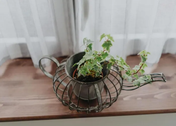 La Medica Landhaus Sargentes de la Lora